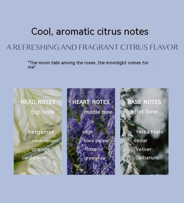 Aromatic Citrus – Moonlight Elegance in a Bottle